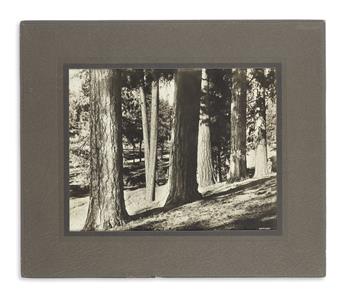 (PHOTOGRAPHY). Gifford, Benjamin. Mount Hood.